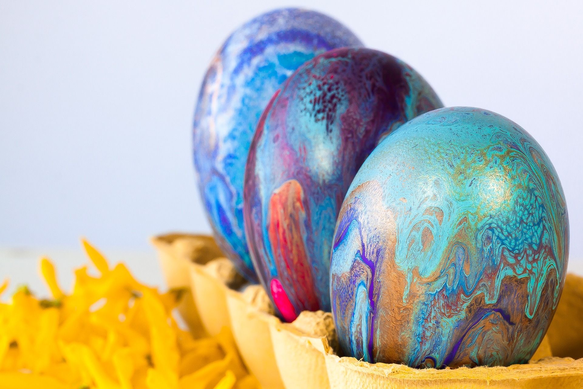 Egg 4100126 1920
